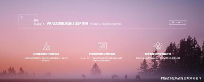 策划公司众多如何精准避雷九游会网址是多少品牌全案(图3)