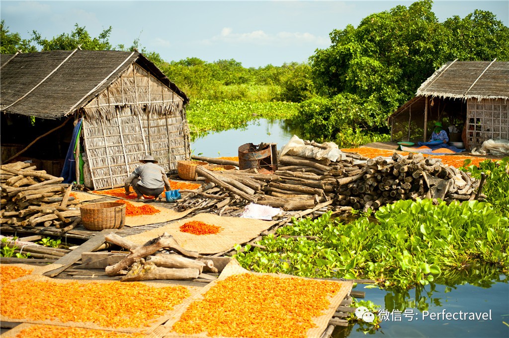 tion 世界最高大上的奢华河轮居然在这里九游会登录j9入口Aqua Expedi(图3)