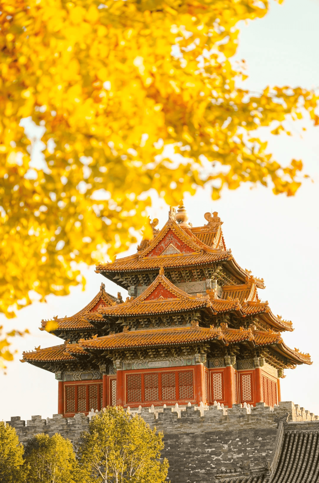 社高端私人订制游：正规服务成核心竞争力j9国际2025北京口碑最好的十大旅行(图2)